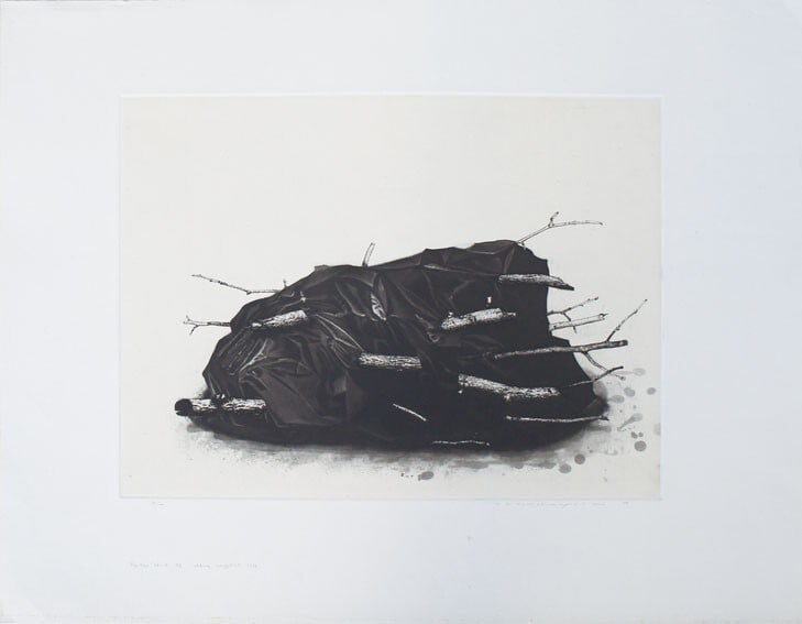 Tadayoshi Nakabayash Japan "Position'78 7 branches" No.229 Mezzotint 1978: Tadayoshi Nakabayash Japan "Position'78 7 branches" No.229 Mezzotint 1978 Item Specifics: Primary Material: Paper Type: Japanese Etching Color: Multi-Color Original/Reproduction: Antique Original Feat