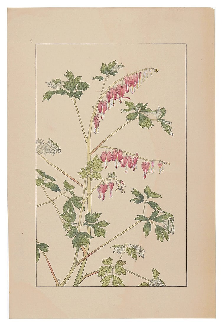 Hisui Sugiura 1932 Japanese Art Woodblock Print Bleeding Hearts: Hisui Sugiura 1932 Japanese Art Woodblock Print Bleeding Hearts Item Specifics: Artist: Sugiura Hisui Subject: Botanical / Bleeding Hearts Material: Paper Style: Japanese Size: 36.2 x 22.5 cm Year Of 