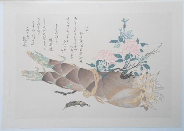 Utamaro Kitagawa Woodblock Print Mushi Erabi Insects Mole Cricket Earwig Art (1 of 1)