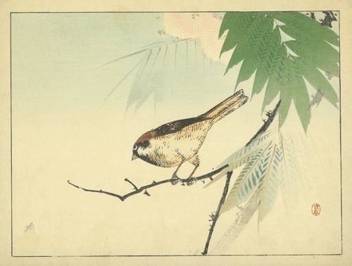 Meiji era bird art suzume sparrow woodblock print Watanabe Seitei (1 of 1)