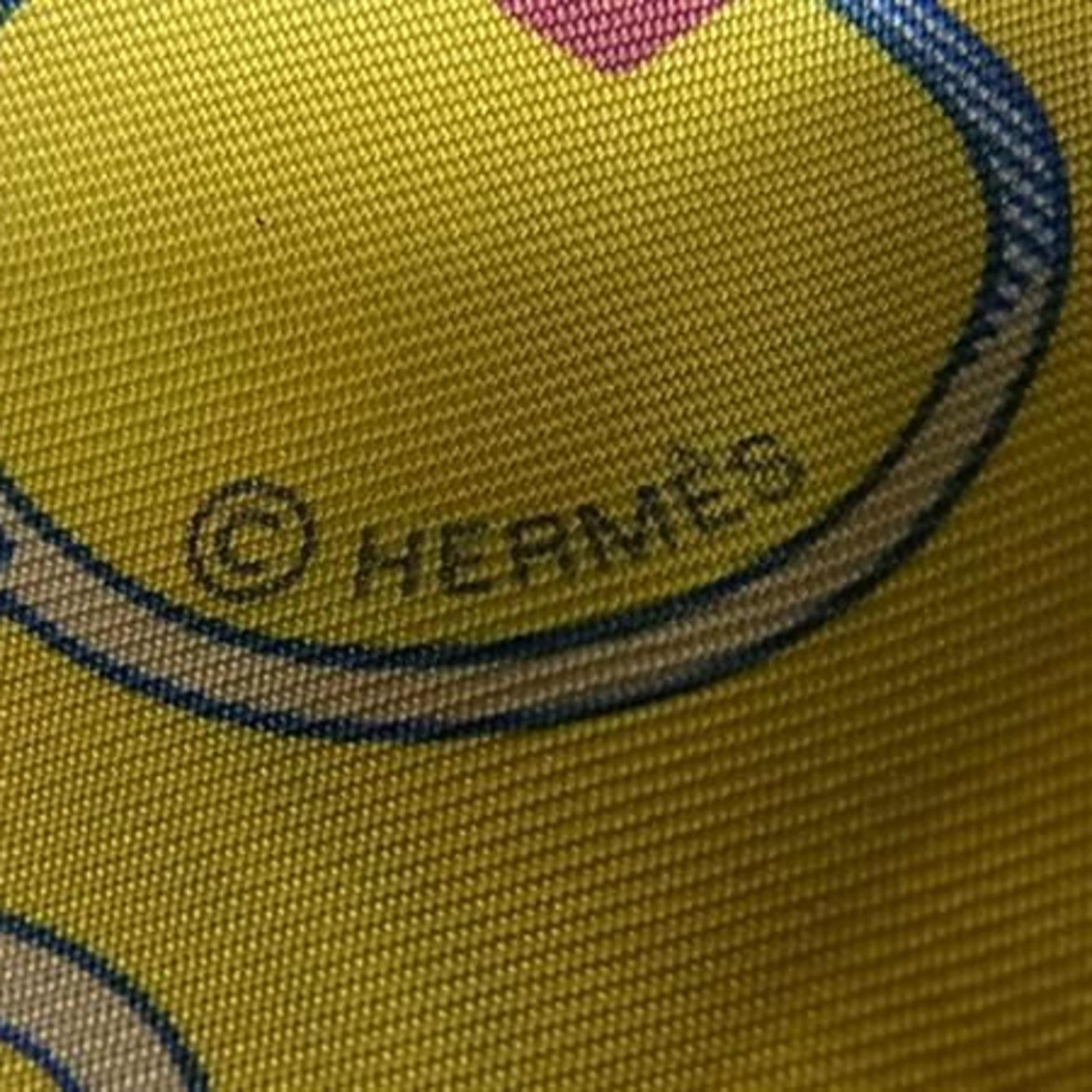 Silk 100% by Hermes - 2