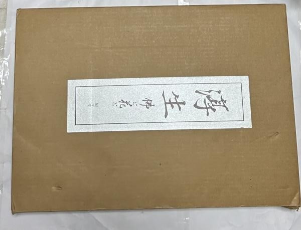 Atsuo Mitsui Art Book Buddha Flowers Limited 500 w 2 Woodblock Prints (1 of 7)