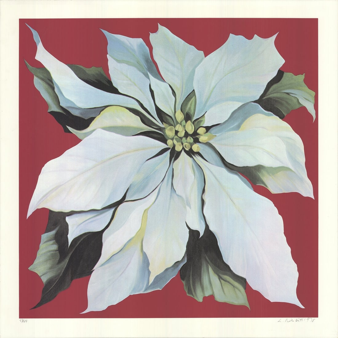LOWELL NESBITT Pointsettia SIGNED 36" x 36" Serigraph 1978 Realism White Red Y (1 of 5)