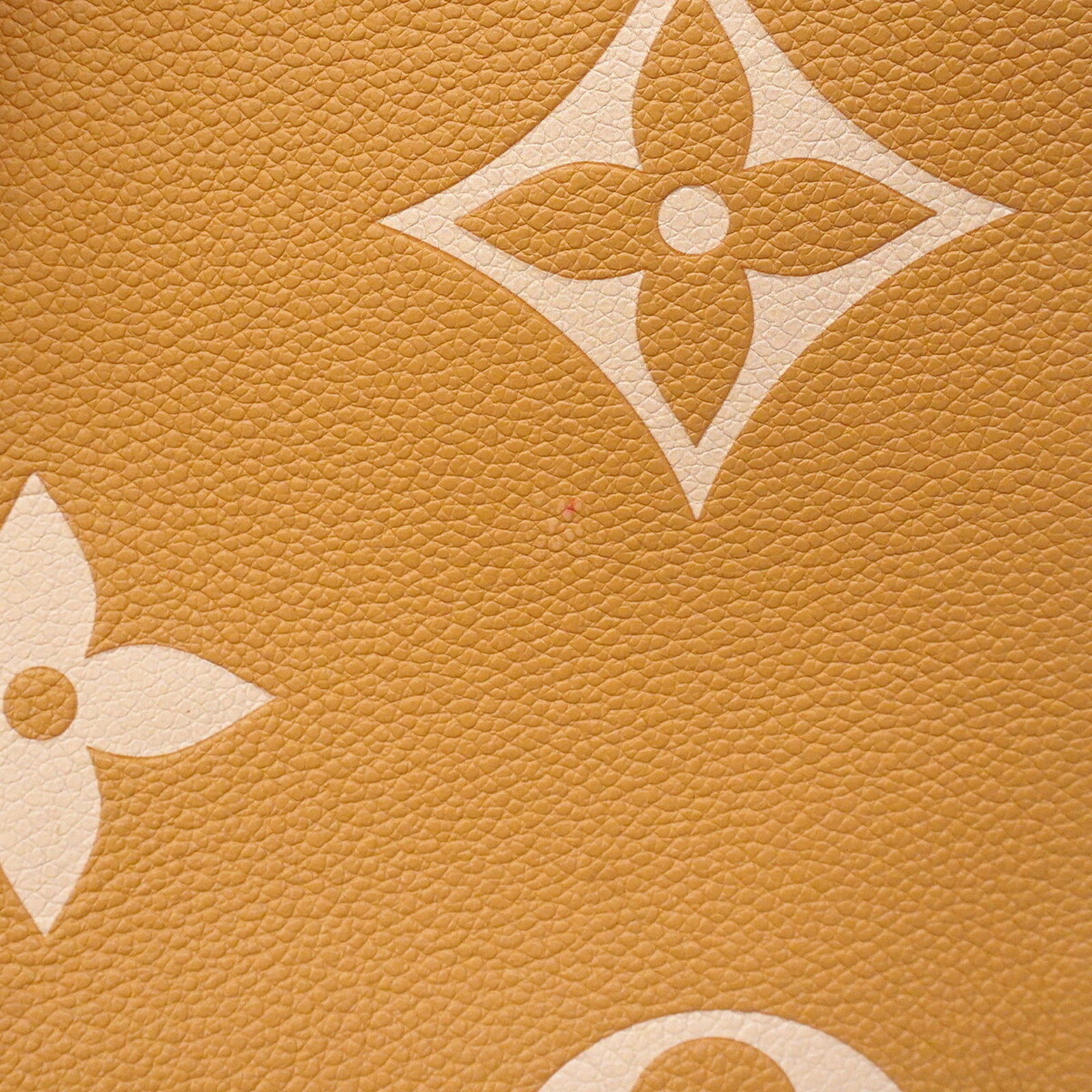 Louis Vuitton Tote Bag - 7