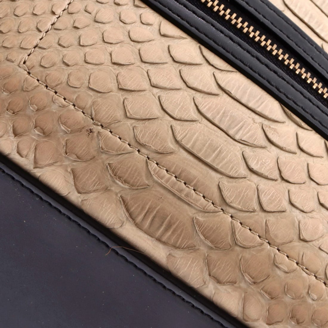 Nano Leather Python Celine Tricolor Luggage Bag - 6