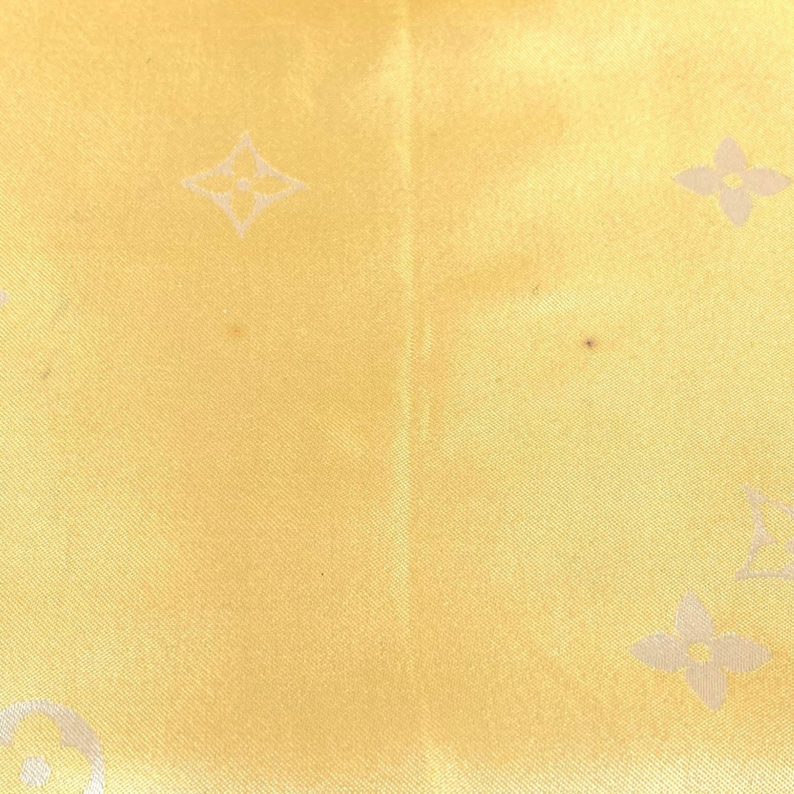Vuitton Stole Silk - 7