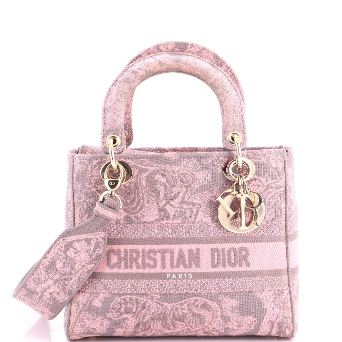 Dior Lady D Lite Bag Canvas Embroidered Christian Medium (1 of 6)