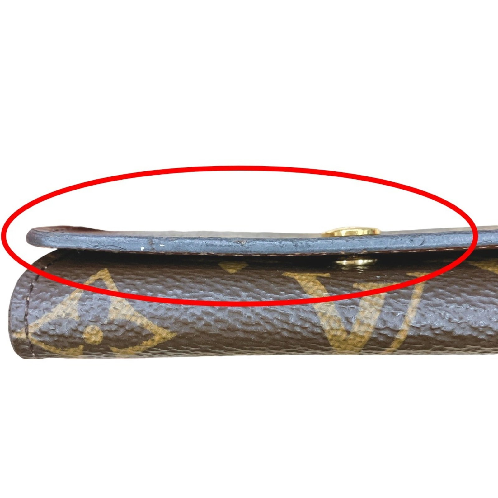 Louis Vuitton Canvas Keycase - 5