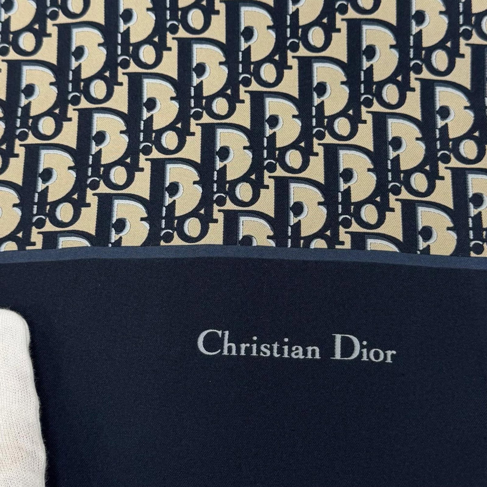 Dior Stole Silk - 4