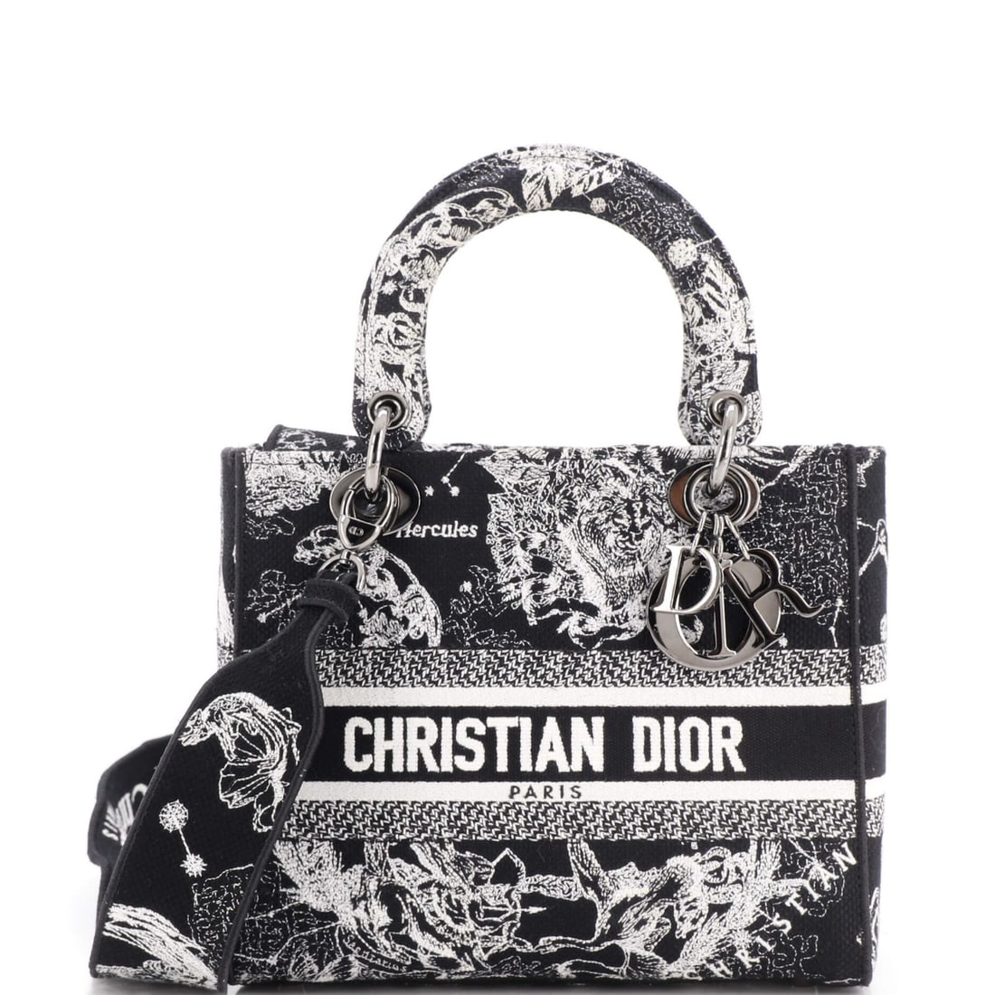 Dior Lady D Lite Bag Canvas Embroidered Christian Medium (1 of 6)