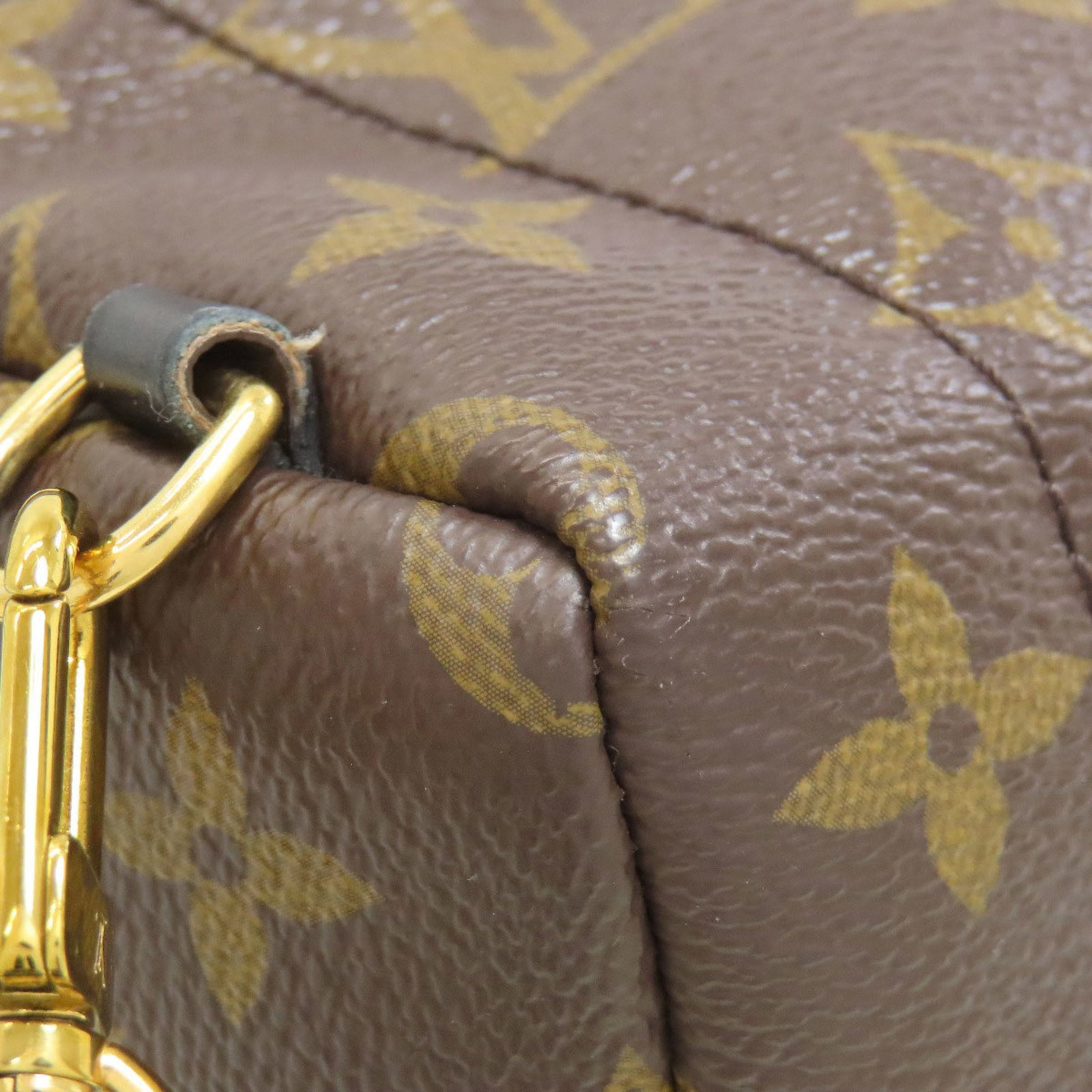 Backpack Vuitton Louis Pvc - 19