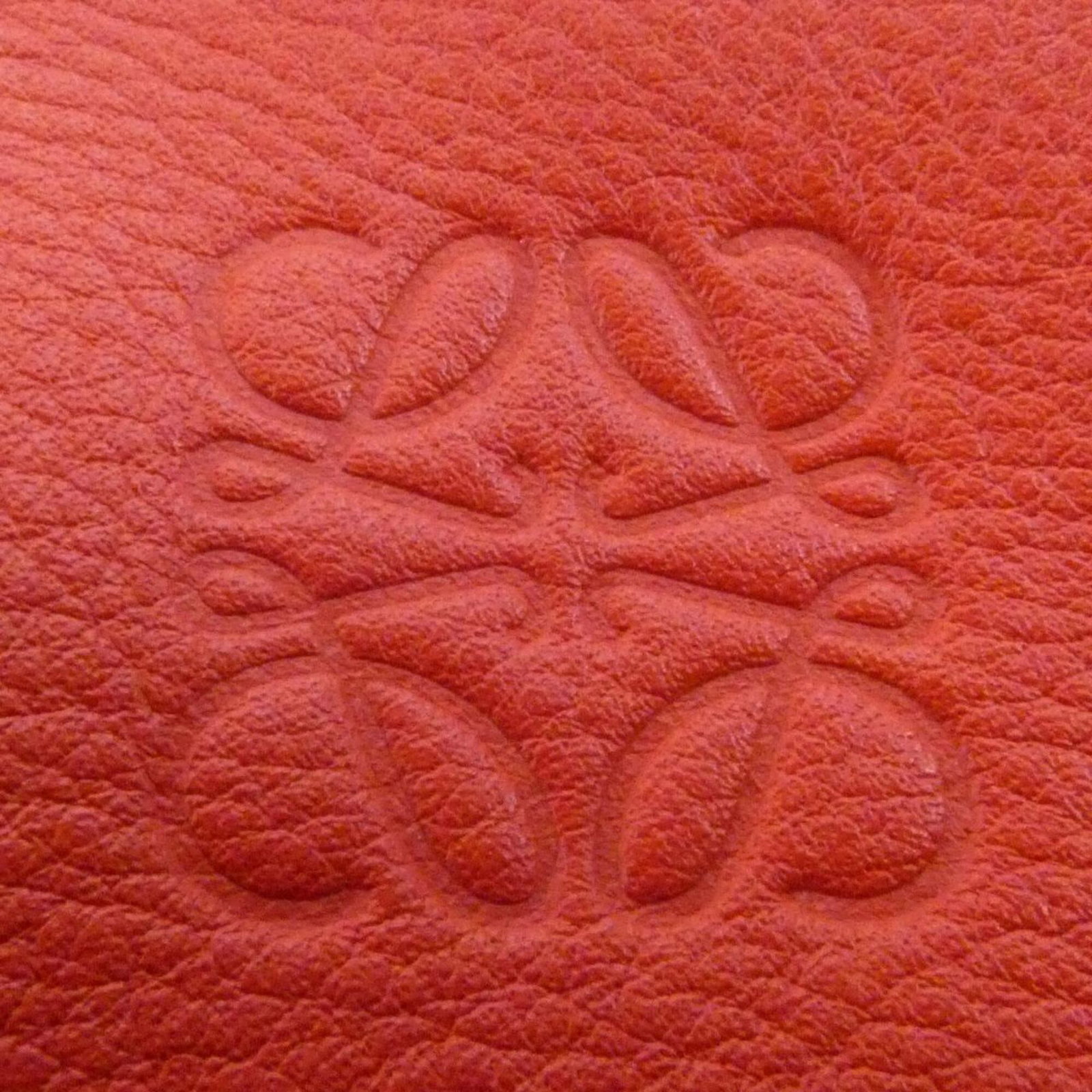 Loewe Handbag Leather - 6