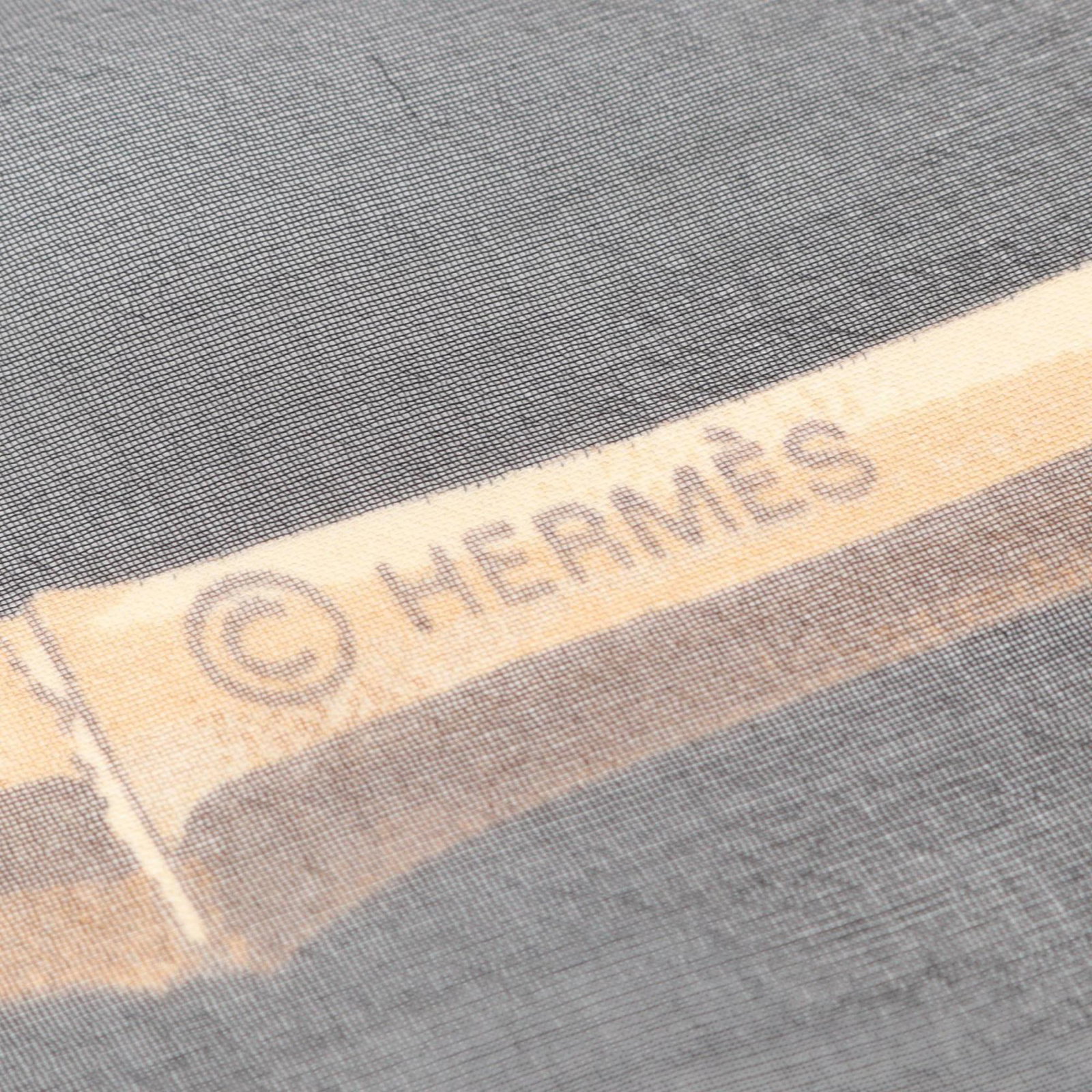 Hermes Silk Scarf - 3