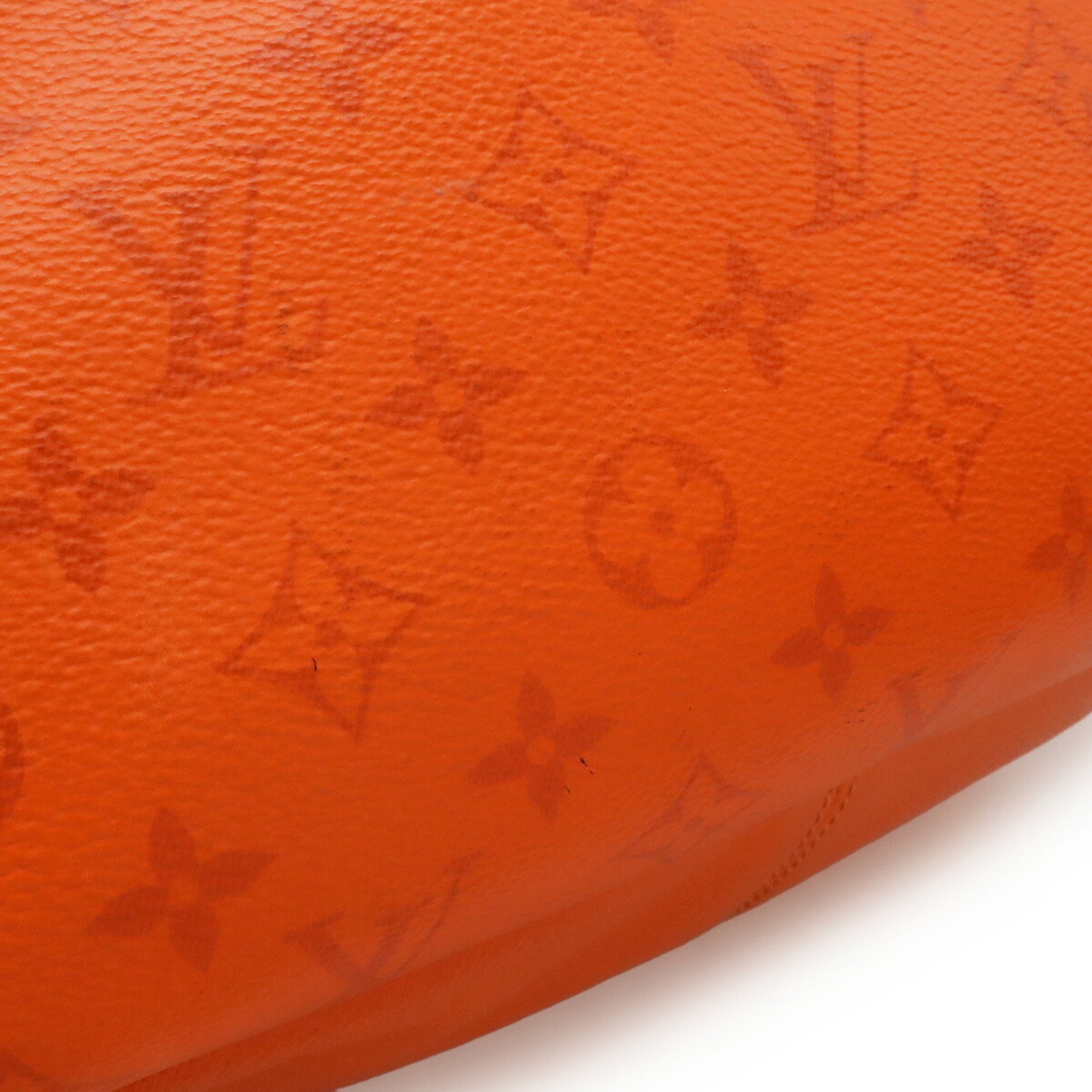 Taigarama Louis Vuitton Backpack - 5