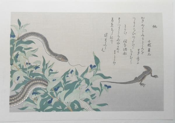 Kitagawa Utamaro Woodblock Print Snake and Lizard Selected Insects Series (1 of 1)