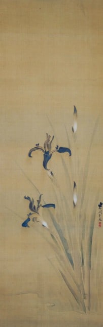 Antique Japanese Hanging Scroll Painting Iris by So Shiko Edo Period: Antique Japanese Hanging Scroll Painting Iris by So Shiko Edo Period Item Specifics: Artist: So Shiko Subject: Iris Material: Ink and Color on Paper Style: Japanese Year Of Production: 2010 Product Di