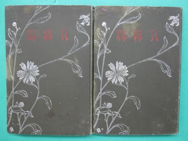 Chikyoudai Kiyokata Kaburagi Woodblock Kuchi e Novel 2vols Yuho Kikuchi 1909 (1 of 1)