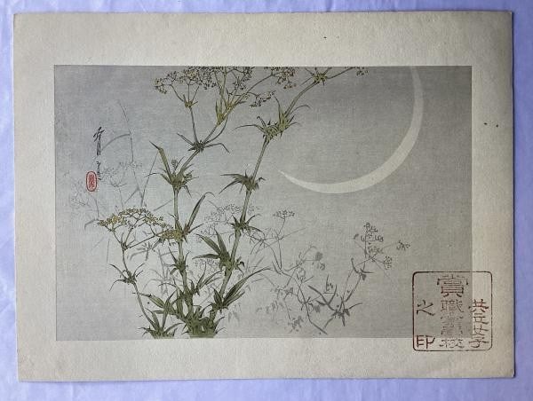 Watanabe Seitei Original Japanese Woodblock Print Kacho ga Bird Flower Antique: Watanabe Seitei Original Japanese Woodblock Print Kacho ga Bird Flower Antique Item Specifics: Artist: Watanabe Seitei Subject: Kacho-ga (Bird and Flower) Material: Paper Style: Japanese Size: 20.6 x 