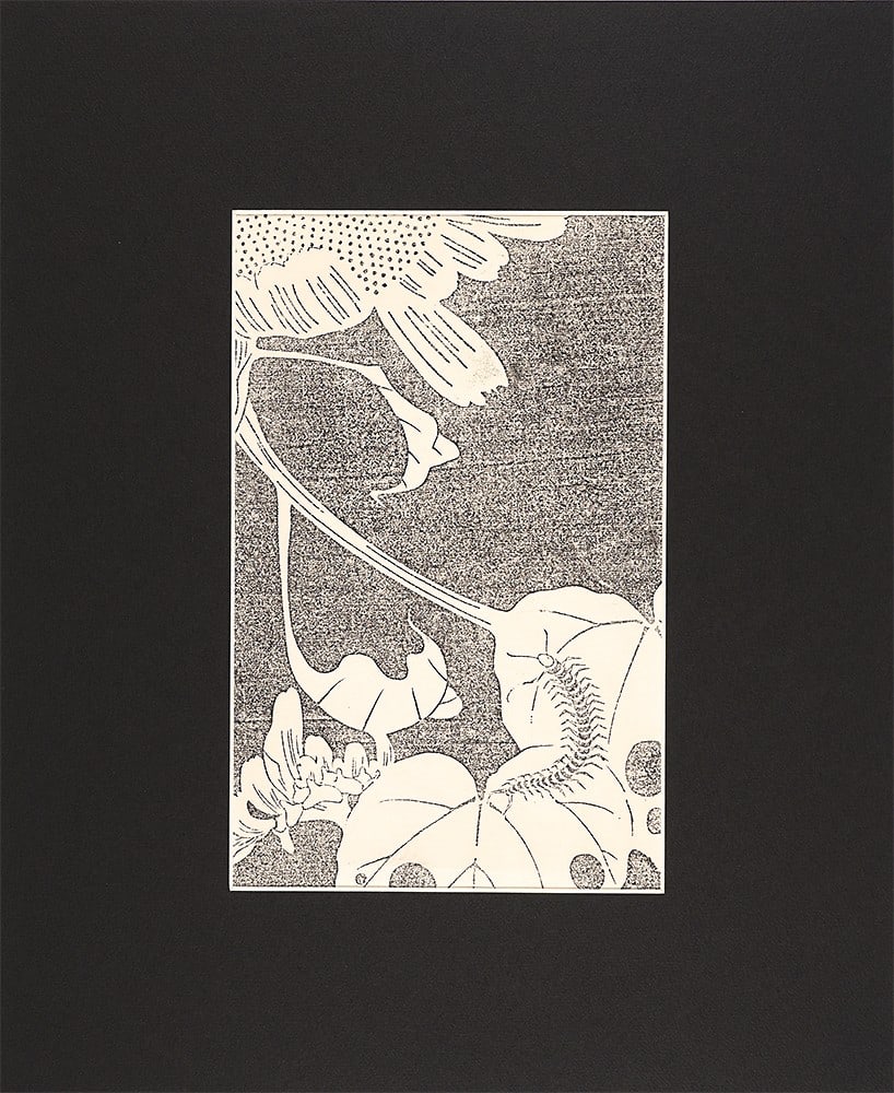 Ito Jakuchu Sunflower Woodblock Print Gempo Yoka Kunlun Flowers Unsodo: Ito Jakuchu Sunflower Woodblock Print Gempo Yoka Kunlun Flowers Unsodo Item Specifics: Artist: Ito Jakuchu Subject: Sunflower / Flowers / Nature Material: Paper Style: Japanese Size: 26 x 16.5 cm Year