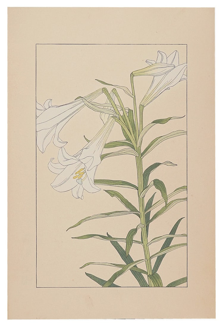 Trumpet Lily Woodblock Print 100 Flowers Art Sugiura Hisui 1929 Hyakkafu (1 of 3)