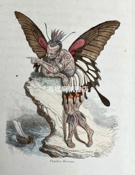 1852 Les Papillons Amedee Varin 2 Vol Set Hand Colored Plates Antique Book: 1852 Les Papillons Amedee Varin 2 Vol Set Hand Colored Plates Antique Book Item Specifics: Artist: Amedee Varin Subject: Natural History / Fantasy Literature / French Romanticism Material: Paper Leath