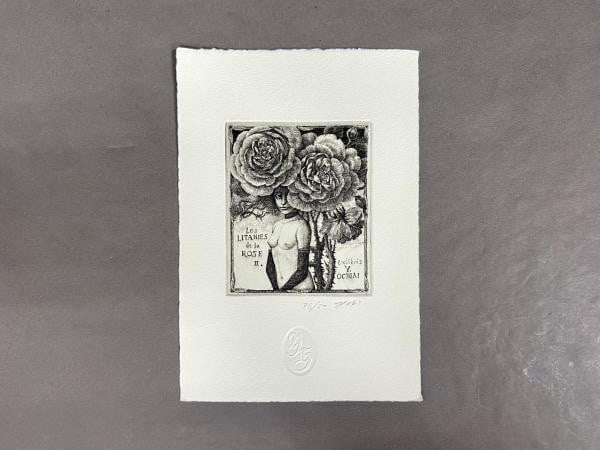Yukiko Hayashi Etching Japanese Print Art Bookplate Ex Libris 50 36: Yukiko Hayashi Etching Japanese Print Art Bookplate Ex Libris 50 36 Item Specifics: Artist: Yukiko Hayashi Subject: Ex-Libris / Surrealist Print Material: Paper / Ink (Copperplate Etching) Style: Japa