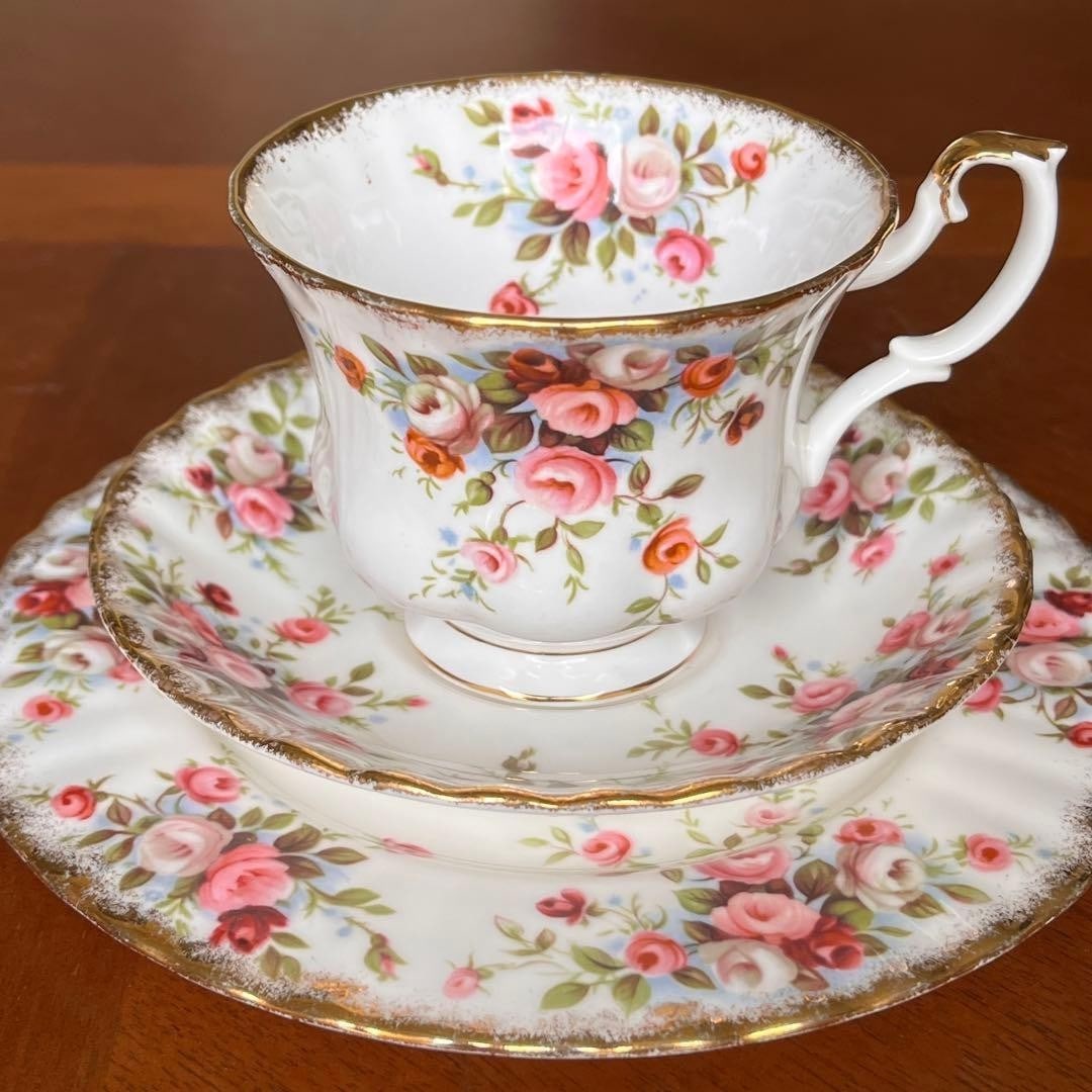 Vintage Rare Bone China Royal Trio Garden Cottage England Set (1 of 15)