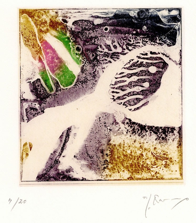 Mitsuo Kano Intaglio Print Papyrus of Dreams Walking III Signed 1987 Ltd 20: Mitsuo Kano Intaglio Print Papyrus of Dreams Walking III Signed 1987 Ltd 20 Item Specifics: Artist: Mitsuo Kano Subject: Abstract Material: Paper Style: Japanese Size: 11 x 10 cm Year Of Production: 1