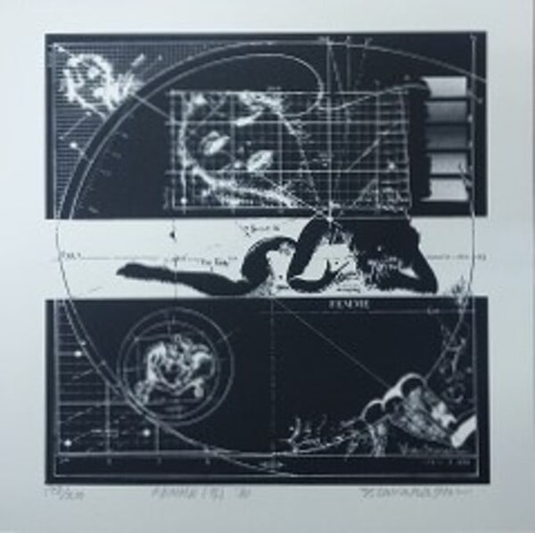 Yoshiaki Takahashi Signed Silkscreen Print FEMME 1980 Ltd Ed 198 200: Yoshiaki Takahashi Signed Silkscreen Print FEMME 1980 Ltd Ed 198 200 Item Specifics: Artist: Yoshiaki Takahashi Subject: Art Material: Paper Style: Japanese Size: 25 x 25 cm Year Of Production: 1980 P