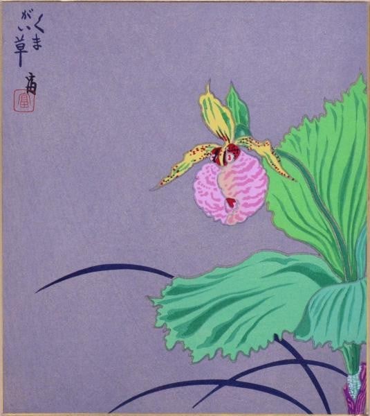 Tomikichiro Tokuriki Woodblock Print Shikishi Kumagaiso Lady Slipper Orchid (1 of 1)