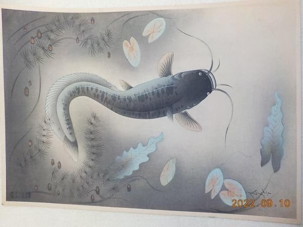 Namazu rare fish great catfish woodblock print antique bakufu collection: Namazu rare fish great catfish woodblock print antique bakufu collection Item Specifics: Artist: Bakufu Ohno Style: Japanese Material: Paper Subject: Catfish Product Disclaimer: Please review the full