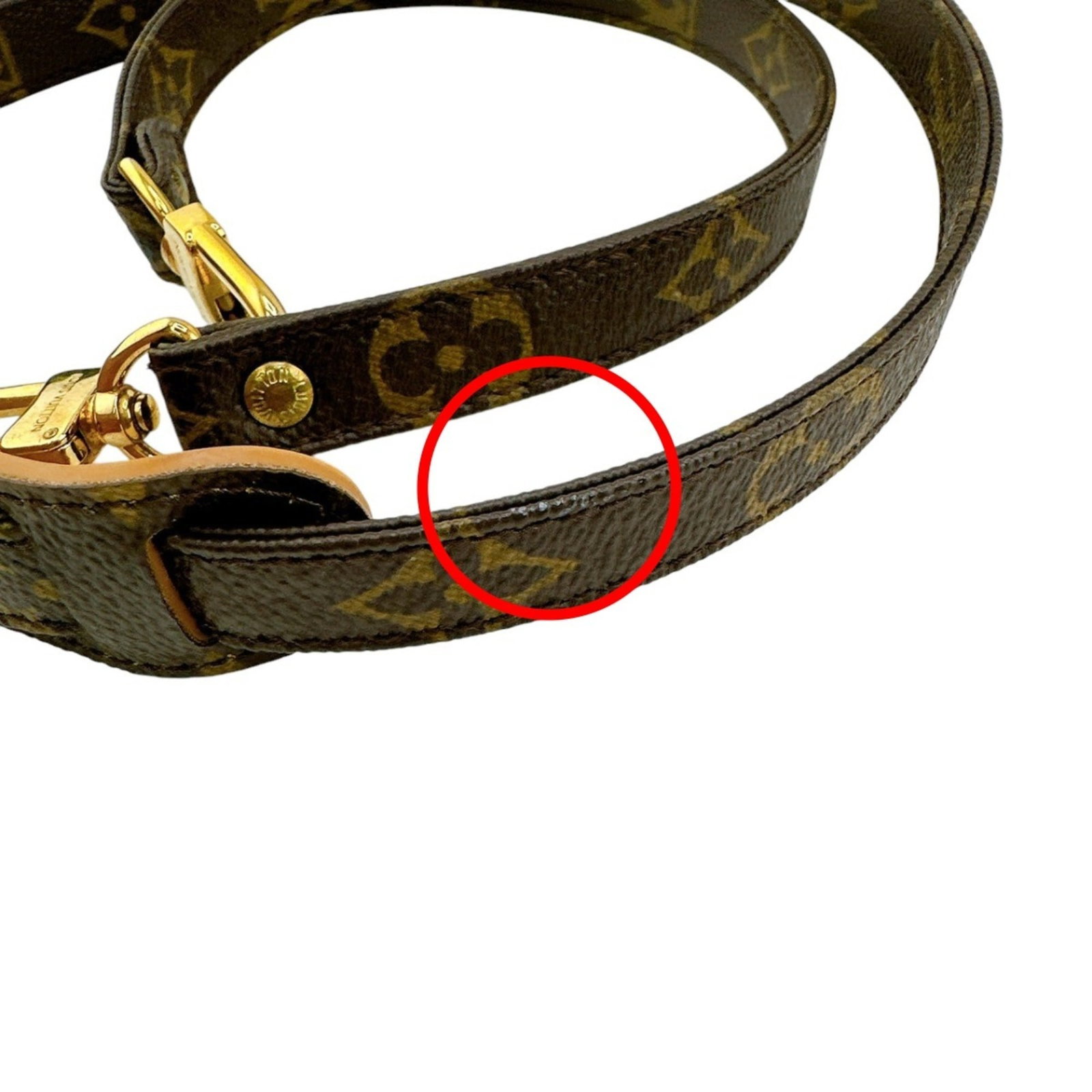 Vuitton Louis Strap Monogram - 4