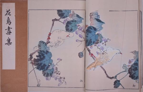Bird Flower Book Woodblock Print Kinzan Haruna Meiji 1905 Unsodo: Bird Flower Book Woodblock Print Kinzan Haruna Meiji 1905 Unsodo Item Specifics: Artist: Kinzan Haruna Subject: Birds and Flowers (Kacho-ga) Material: Paper Woodblock Print Ink Style: Japanese Size: 2