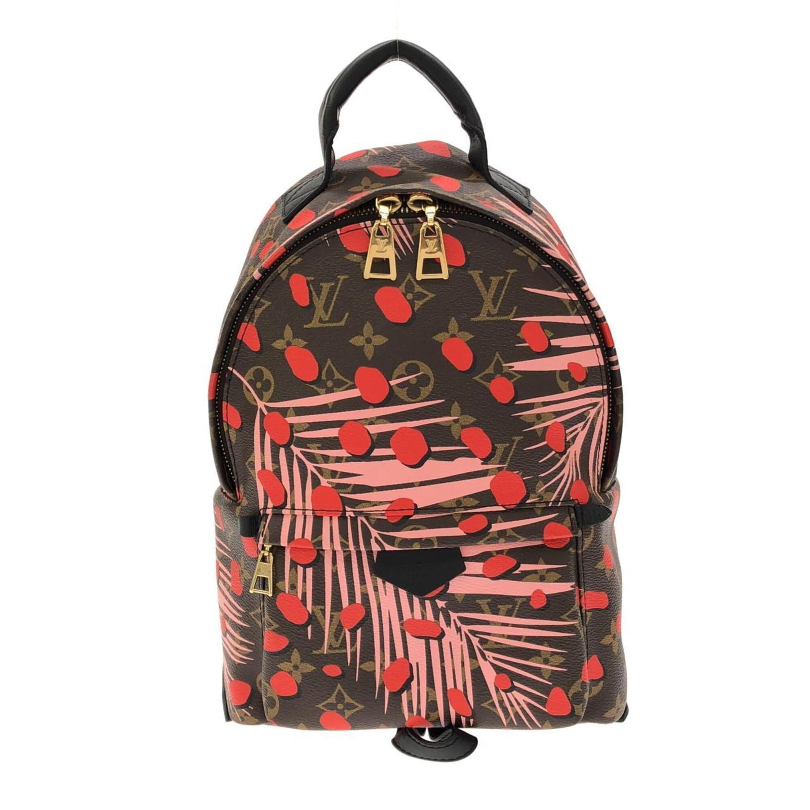 Coated Canvas Louis Vuitton Backpack: Coated Canvas Louis Vuitton Backpack Coated canvas backpack with pink, poppy color. Measures 30cm x 20cm x 9cm, suitable for everyday use. Made from coated canvas material. Item Specifics: Brand: