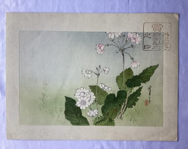 Kacho ga Seitei Woodblock Print Flower Bird Japanese Art: Kacho ga Seitei Woodblock Print Flower Bird Japanese Art Item Specifics: Artist: Watanabe Seitei Subject: Kacho-ga (Flowers and Birds) Material: Paper Style: Japanese Size: 31.7 x 20.9 cm Product Disc