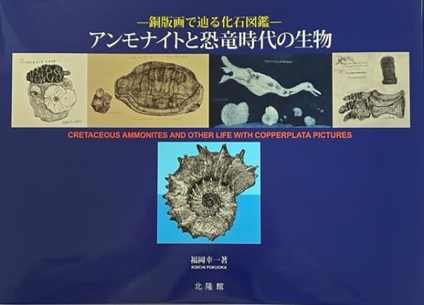 Fossil illustrated book copperplate print of ammonite dinosaur by koichi fukuoka (1 of 1)