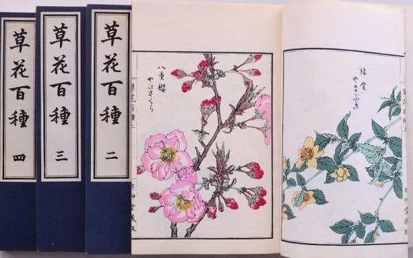 Kono Bairei 100 Flowers Woodblock Print Book Set 4 Vols 1974 Unsodo Japanese Art (1 of 4)