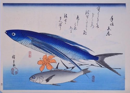 Woodblock print of flying fish lily oban by Hiroshige Utagawa: Woodblock print of flying fish lily oban by Hiroshige Utagawa Item Specifics: Artist: Utagawa Hiroshige Subject: Fish and Flowers Material: Washi Paper Style: Japanese Size: 27.5 x 39.5 cm Product Dis