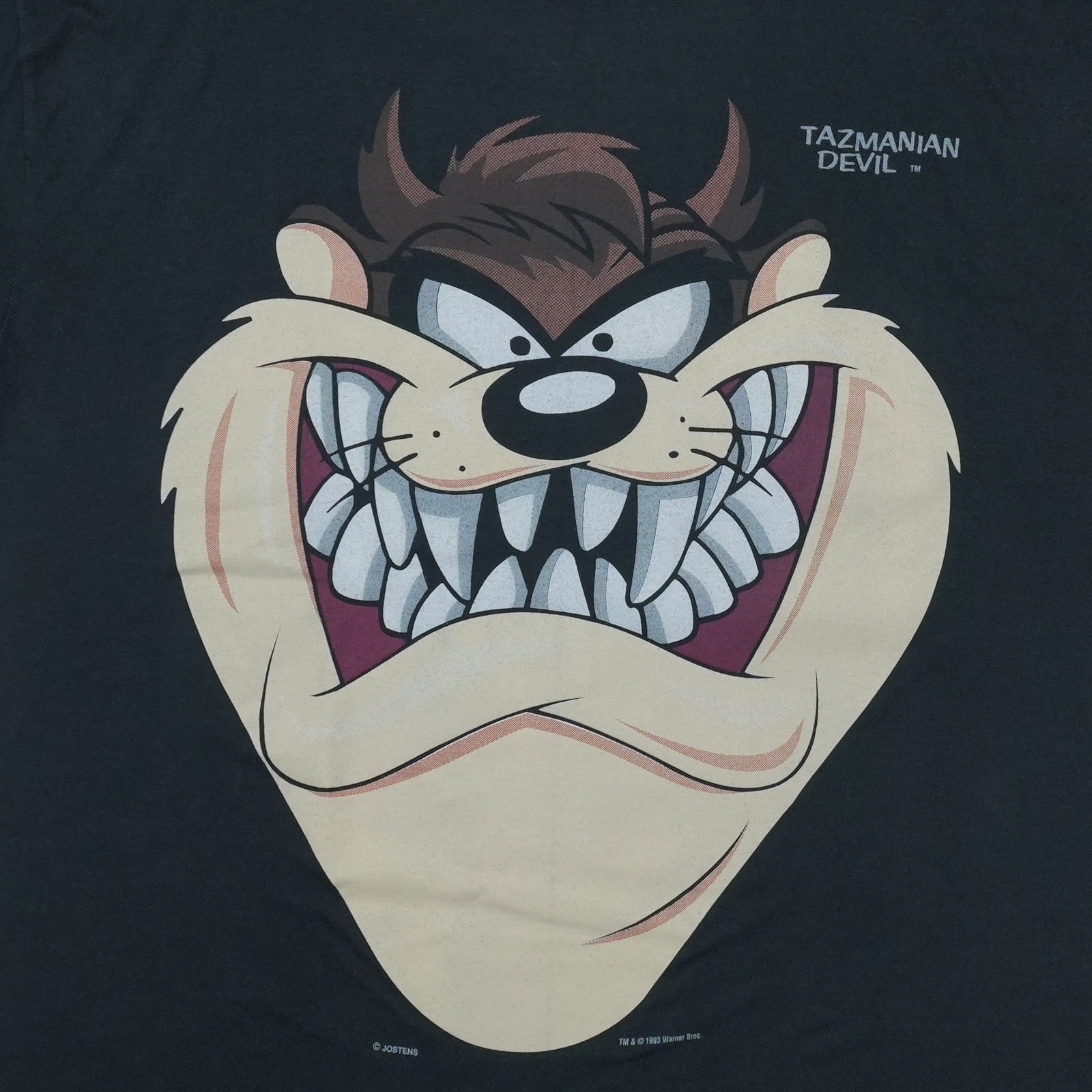 Tazmanian Devil Shirt - 3