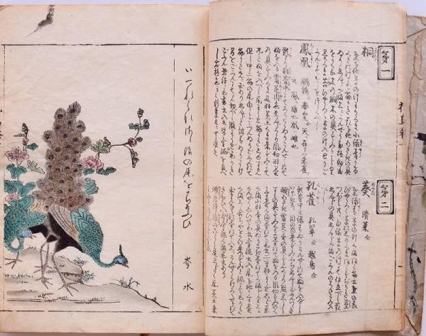 Japanese Woodblock Print Book Shasei Kacho Birds Flowers Kyujodo 38 Plates: Japanese Woodblock Print Book Shasei Kacho Birds Flowers Kyujodo 38 Plates Item Specifics: Artist: Unknown (Kyujodo Publisher) Subject: Birds and Flowers Material: Washi Paper Style: Japanese Product 