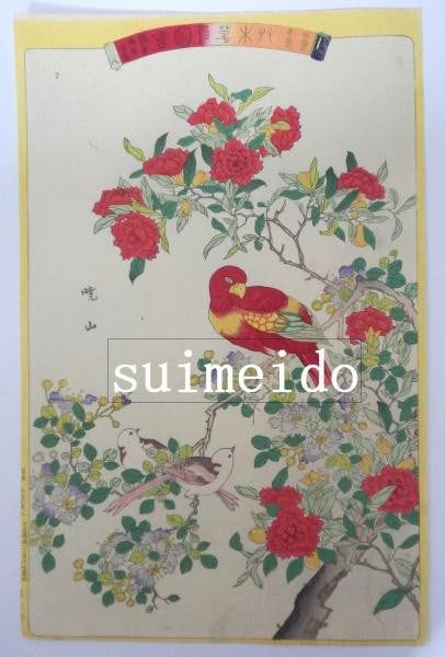 Japanese Woodblock Print Gyozan birds flowers pomegranate parakeet: Japanese Woodblock Print Gyozan birds flowers pomegranate parakeet Item Specifics: Artist: Gyozan Subject: Birds and Flowers Material: Woodblock Print on Washi Paper Style: Japanese Size: 36.5 x 23 cm