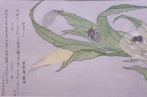 Woodblock Print Cicada Spider Insect Selection Utamaro Kitagawa (1 of 1)