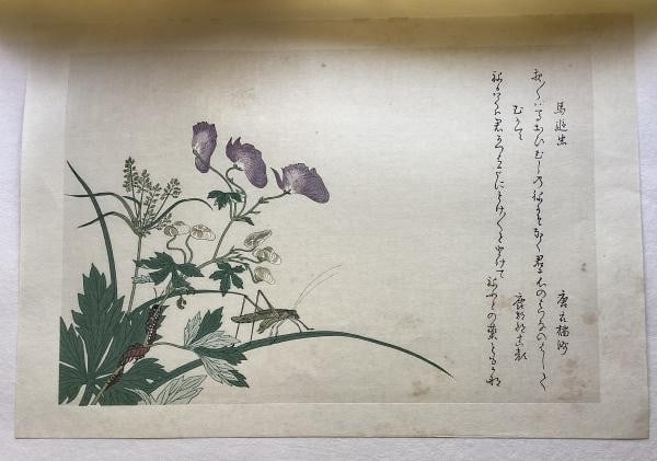 Kitagawa Utamaro Woodblock Print Mushi Erabi Katydid and Centipede Reprint: Kitagawa Utamaro Woodblock Print Mushi Erabi Katydid and Centipede Reprint Item Specifics: Artist: Kitagawa Utamaro Subject: Insects (Katydid and Centipede) Material: Paper Style: Japanese Size: 32.0