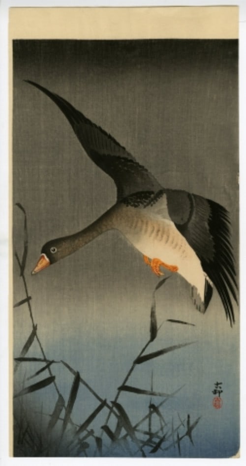 Koson Ohara Wild Goose Woodblock 1910 Sealed Sheet Only Japanese Antique Art: Koson Ohara Wild Goose Woodblock 1910 Sealed Sheet Only Japanese Antique Art Item Specifics: Type: Print Product Disclaimer: Please review the full description and photos. Lithographs may be plate-sig