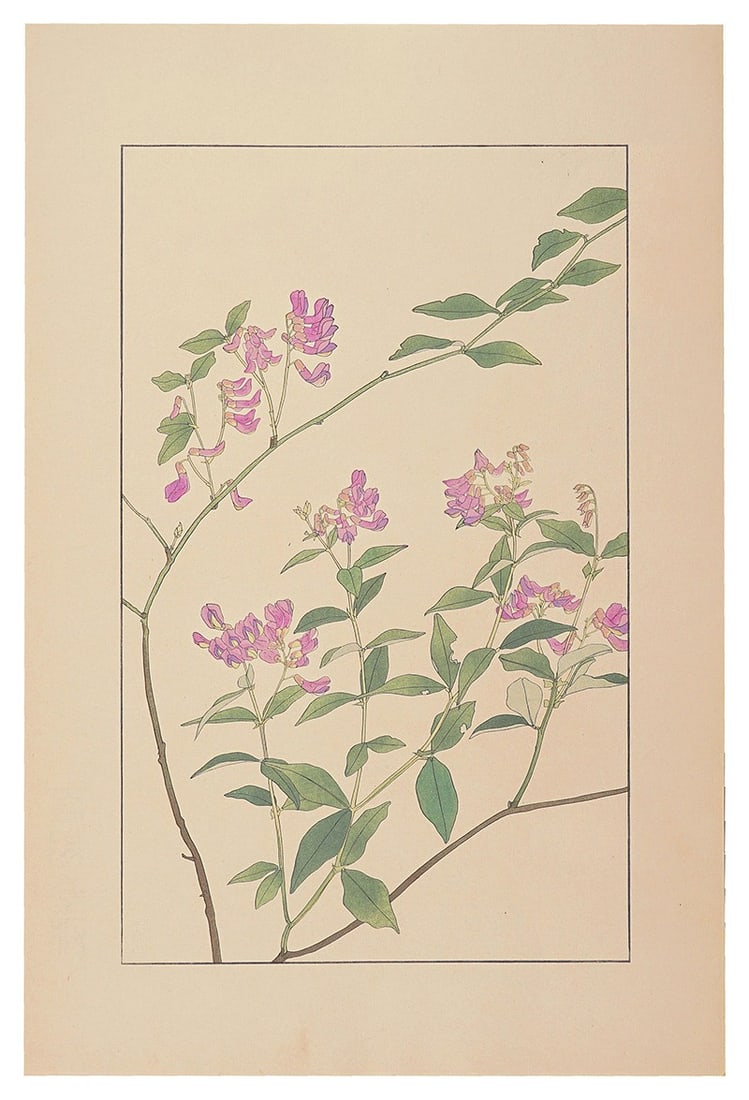 Sugiura Hisui Two Leaved Vetch Woodblock Print 1930 Hisui Hyakkafu: Sugiura Hisui Two Leaved Vetch Woodblock Print 1930 Hisui Hyakkafu Item Specifics: Artist: Sugiura Hisui Subject: Botanical Material: Paper Style: Japanese Size: 36.2 x 22.5 cm Year Of Production: 193