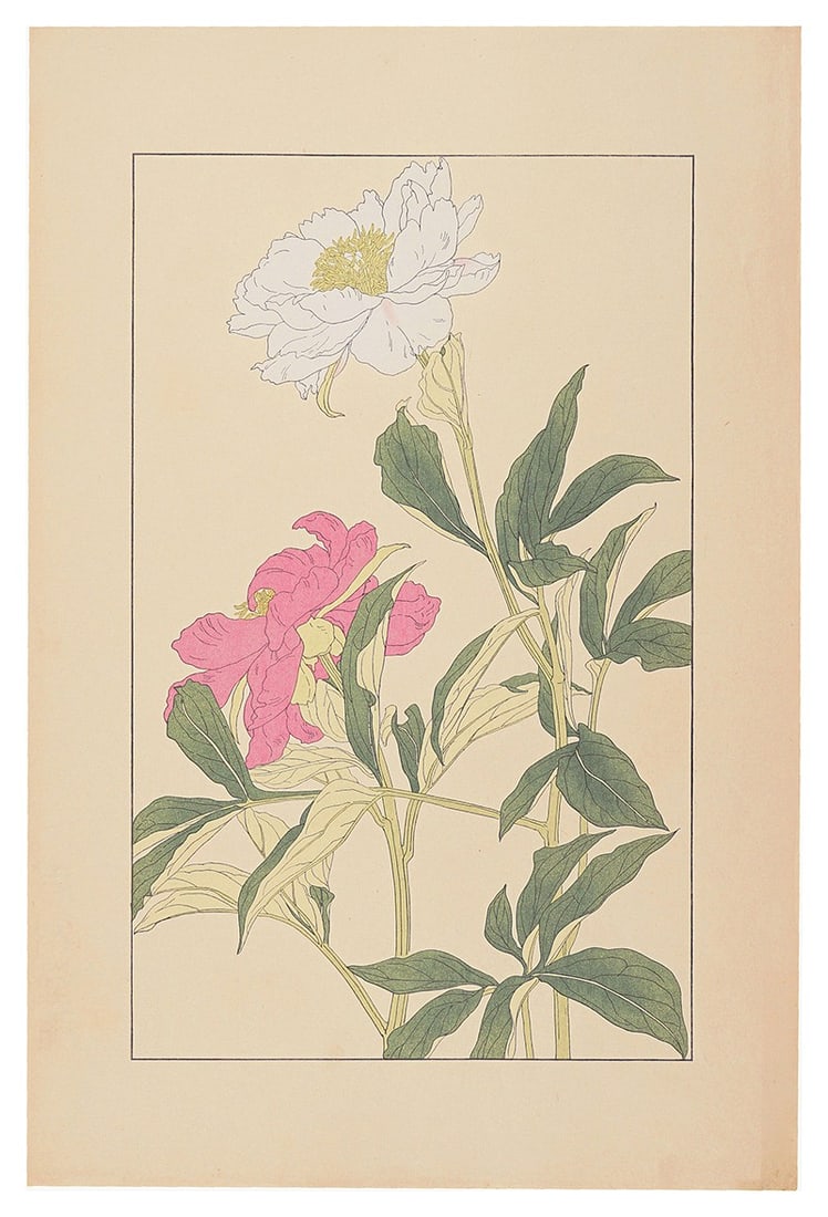 Sugiura Hisui Peony Japanese Woodblock Print Hisui Hyakkafu Flowers 1930 Art: Sugiura Hisui Peony Japanese Woodblock Print Hisui Hyakkafu Flowers 1930 Art Item Specifics: Artist: Sugiura Hisui Subject: Peony Flowers Material: Paper Style: Japanese Size: 36.2 x 22.5 cm Year Of P