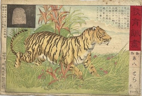 Meiji period manjiro hayashi art education woodblock print tiger: Meiji period manjiro hayashi art education woodblock print tiger Item Specifics: Artist: Manjiro Hayashi Subject: Tiger Material: Paper Style: Japanese Size: 25.5 x 37.5 cm Year Of Production: 1886 Pr