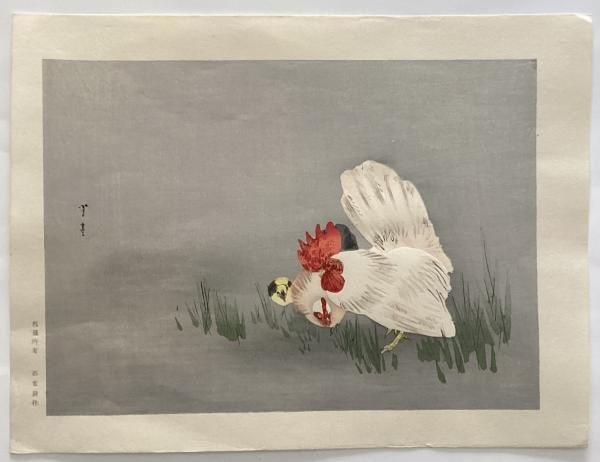 Watanabe Seitei Japanese Woodblock Print Bird and Flower Art Kacho ga: Watanabe Seitei Japanese Woodblock Print Bird and Flower Art Kacho ga Item Specifics: Artist: Watanabe Seitei Subject: Bird and Flower (Kacho-ga) Material: Paper Style: Japanese Size: 17.5 x 24.5 cm P