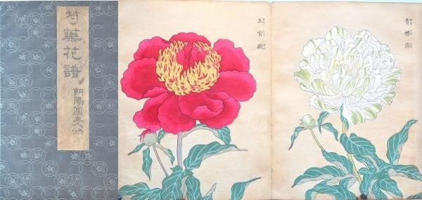 Woodblock print album botanical art kashu peony kyutaro 1898: Woodblock print album botanical art kashu peony kyutaro 1898 Item Specifics: Artist: Kyutaro Kashu Subject: Botanical Art / Peonies Material: Paper Style: Japanese Product Disclaimer: Please review th