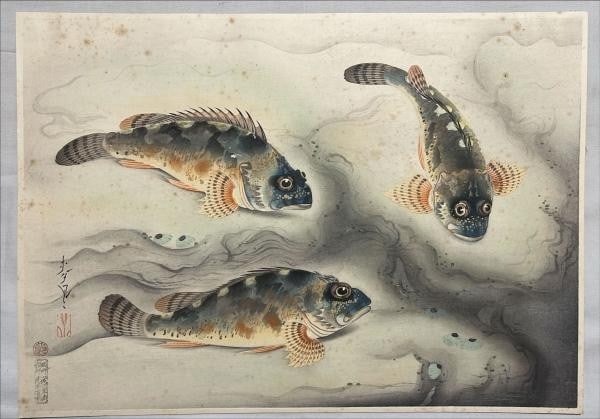 Bakufu Ohno Woodblock Print Kasago Scorpionfish Japanese Art Fish (1 of 2)